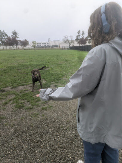 Heritage Dog Park