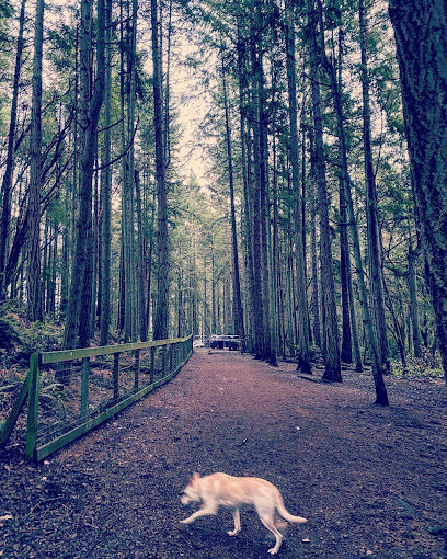 Point Defiance Dog Park