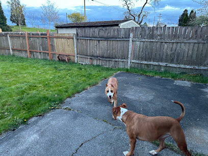 SniffSpot South Tacoma