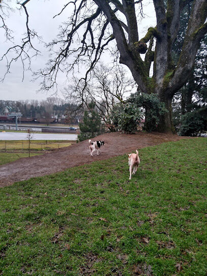Clark County Dog Park