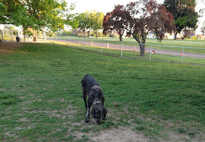 Fort Walla Walla Dog Park