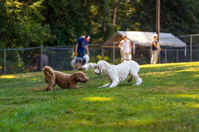 Sol's Dog Park - Members Only