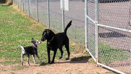 Ashland Dog Park