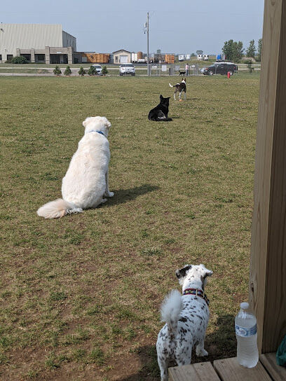 Pepi's Playground