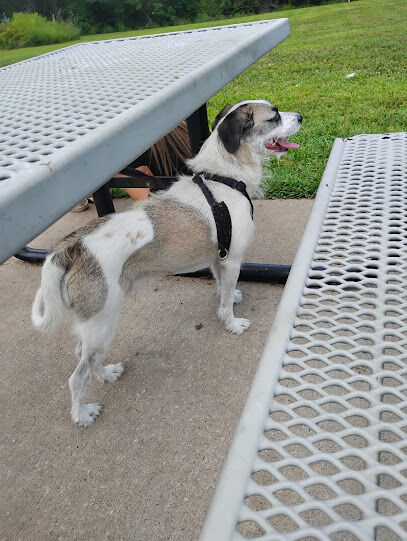Pet Park