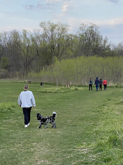Mitchell Park Dog Exercise Areas