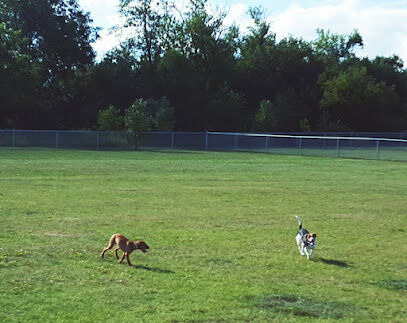 Jean Jacobson Dog Park