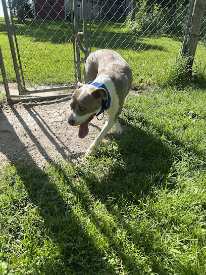 Merry Mutts Play Yard, LLC