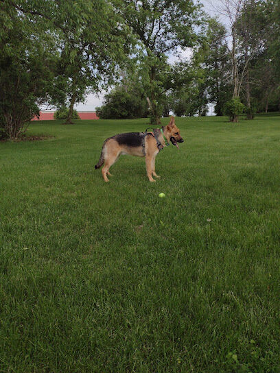 River Run Dog Park