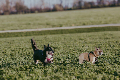 Devine Dog Park