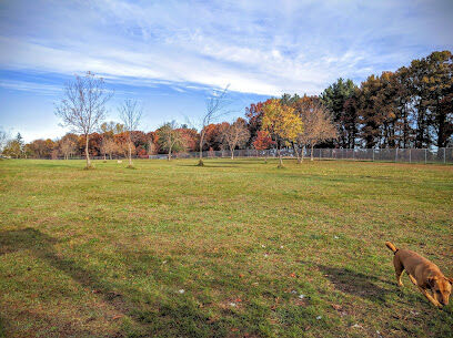 Otter Creek Off-Leash Dog Park