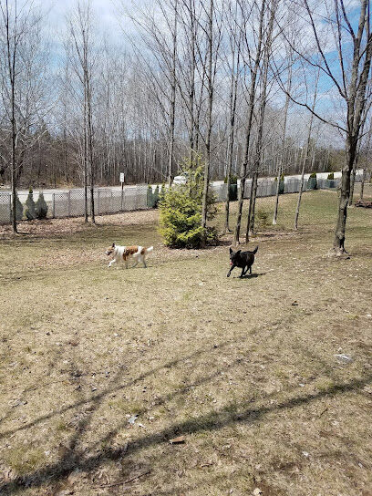 Harbor Hounds Dog Park