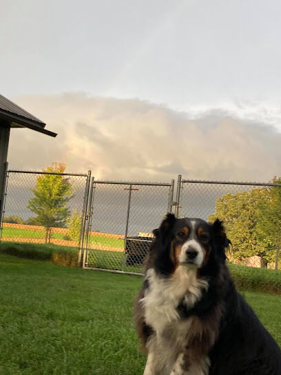 Wagging Tail Ranch