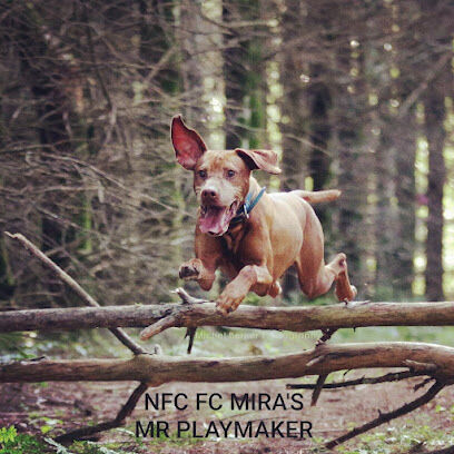 Sniffspot Fairchild & Mira Vizslas