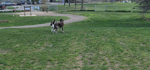 Sunnyside Dog Park