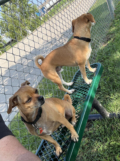 Dog Park at Love's Travel Stops