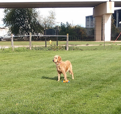 FIDO Dog Park