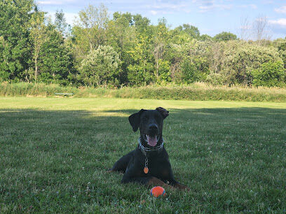 Homestead Howl Dog Park