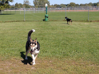 Off-Leash Dog Area