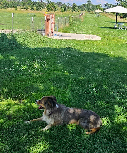 Paw Print Dog Park