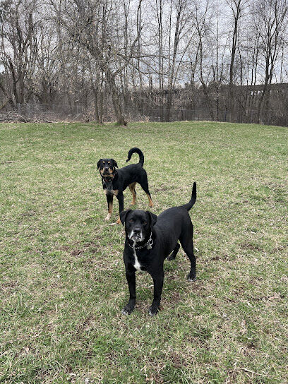 Ladysmith Leash-Free Dog Park