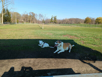 White River Dog Park