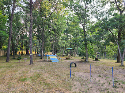 People and Paws Private Reserved Dog Play Park