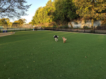 Brittingham Park Dog Park