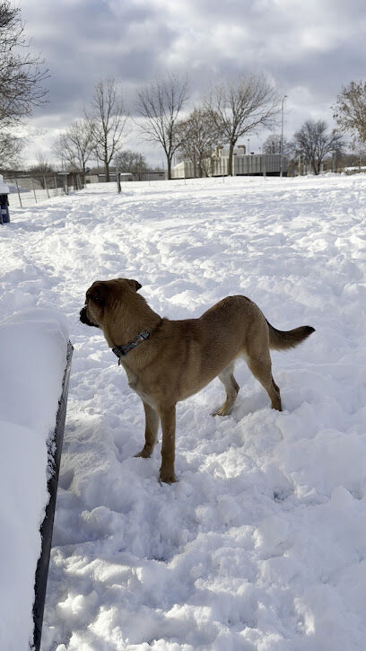 Demetral Park Dog Off-Leash Park