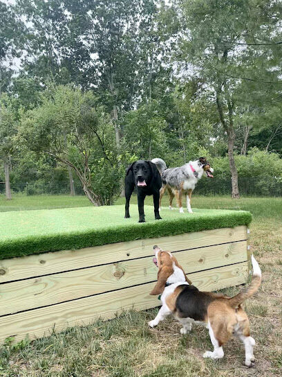 Good Dog Unleashed Private Park