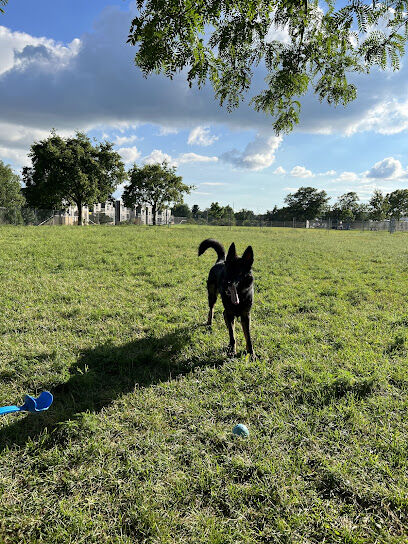 Odana School Park Dog Park