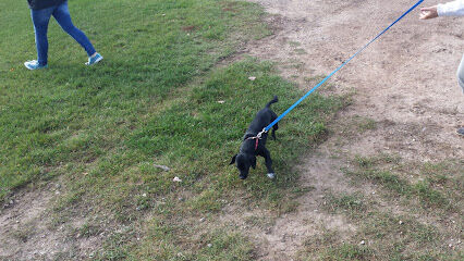 Indian Creek Disc Golf And Dog Park