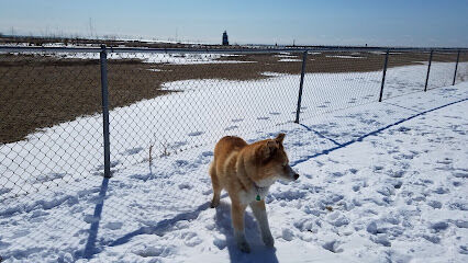 Manitowoc City Paws & Play Dog Park