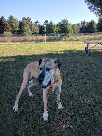 Merrill Dog Park