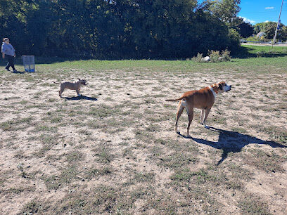 Bay View Dog Park Exercise Area