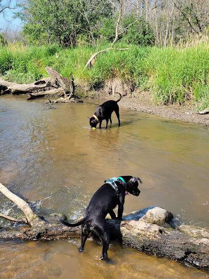 Granville Dog Park
