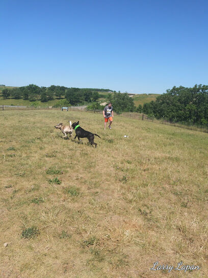 Mineral Point Unleashed Dog Park