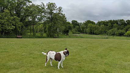 Mukwonago Dog Exercise Park