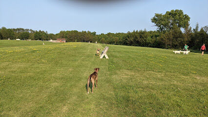 Room To Roam Dog Park