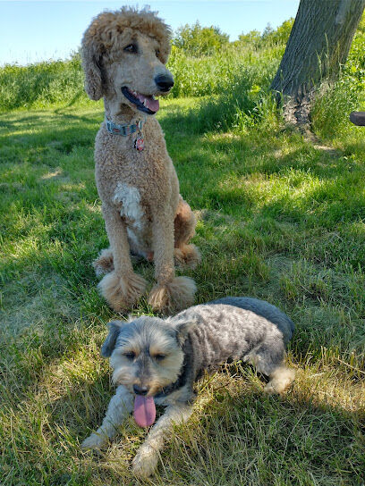 Anderson Farm County Dog Park