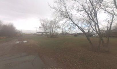Owen Dog Park