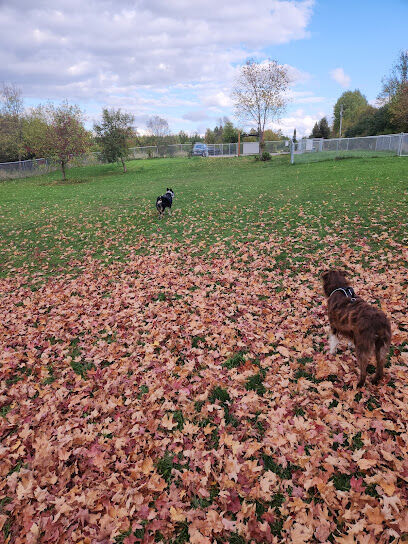 Bark Park