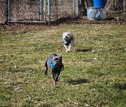 Platteville Dog Park