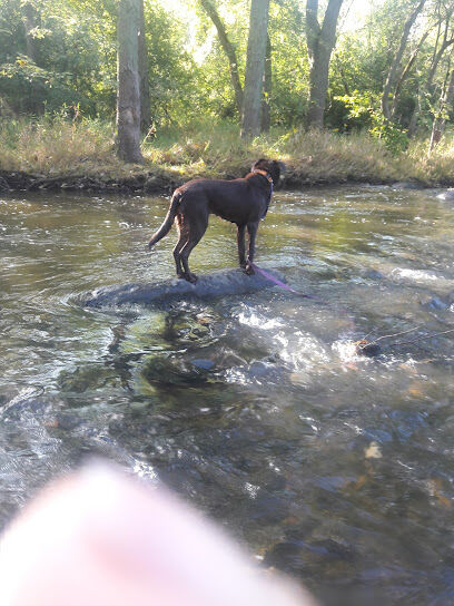 Caledonia Dog Park, Dog Beach Area 1