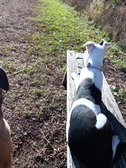 Caledonia Dog Park, Dog water Landing 1