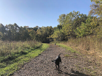 Caledonia Dog Park, dog water landing 2