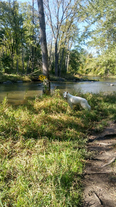 Caledonia Dog Park, Pond