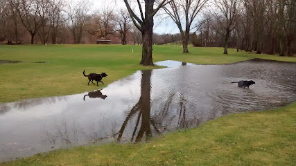 Caledonia Dog Park