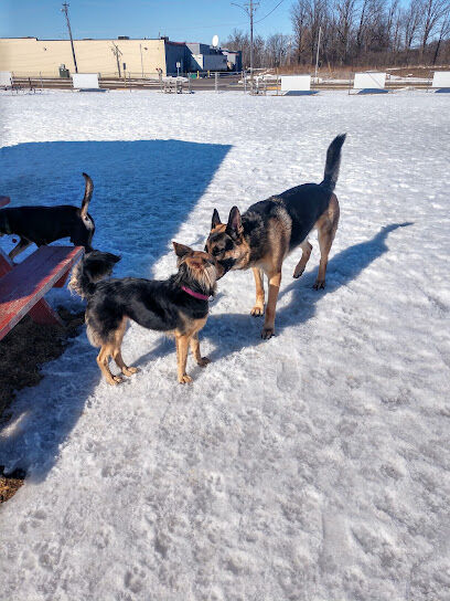 Rice Lake Off Leash Dog Park