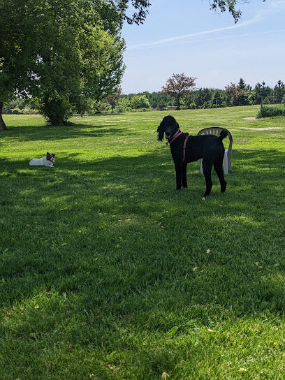 Ripon Dog Park